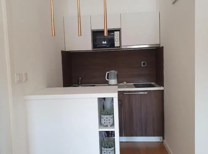 Iva בית הארחה