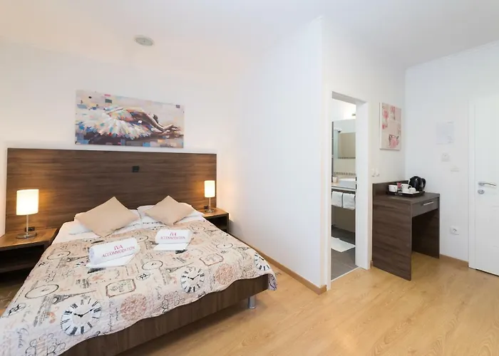 어카머데이션 이바 자다르